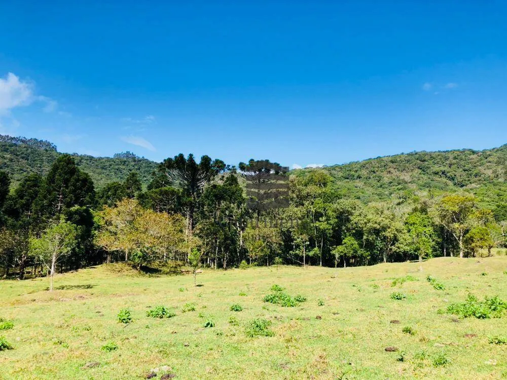 Fazenda, 200 hectares - Foto 3