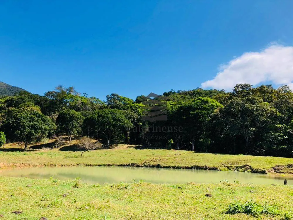 Fazenda, 200 hectares - Foto 4