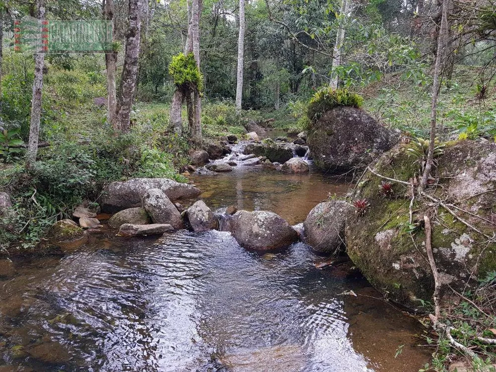 Fazenda, 200 hectares - Foto 2