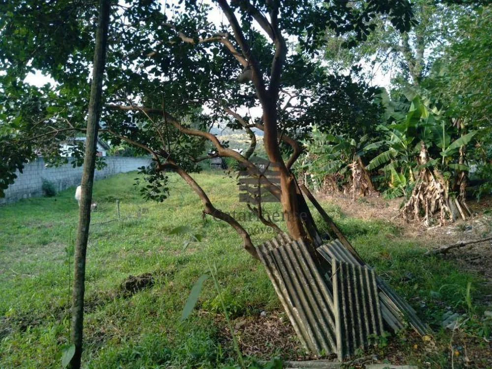 Chácara, 2 quartos, 1275 m² - Foto 2