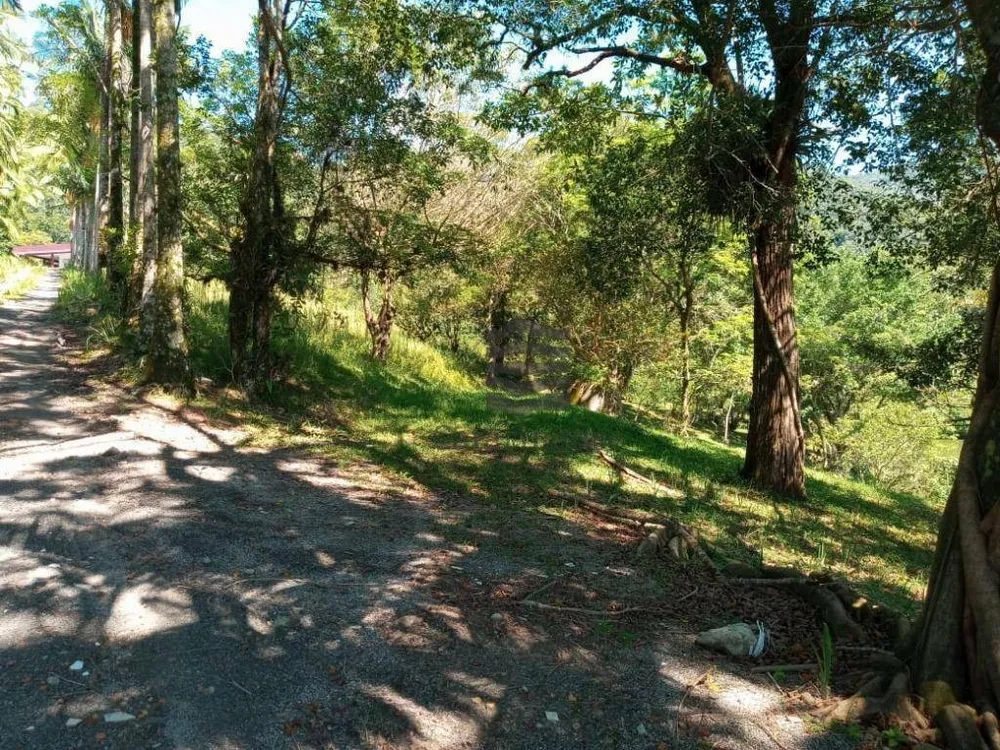 Sítio, 7 quartos, 15 hectares - Foto 3