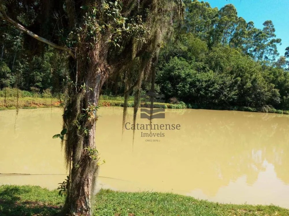 Sítio, 7 quartos, 15 hectares - Foto 4