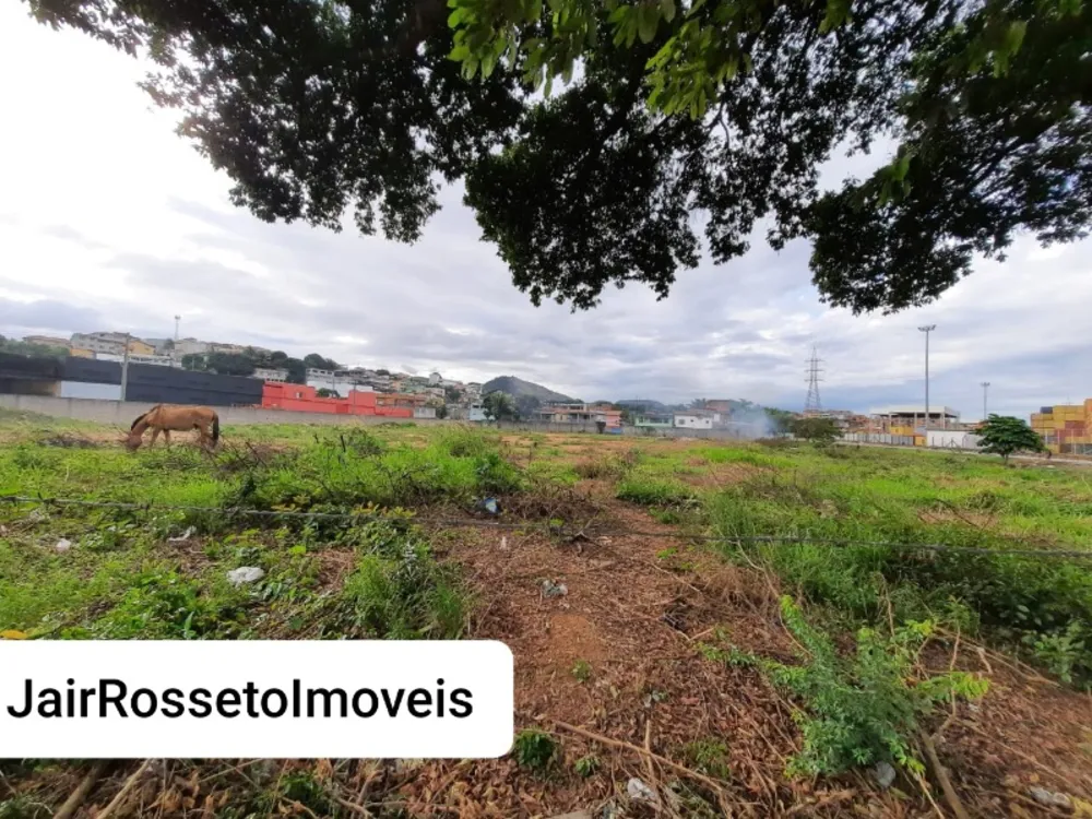 Terreno, 8000 m² - Foto 6