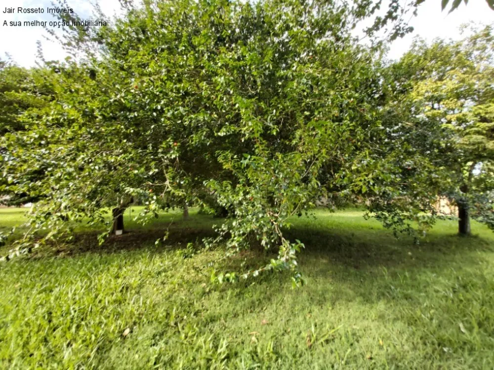 Terreno, 5000 m² - Foto 2