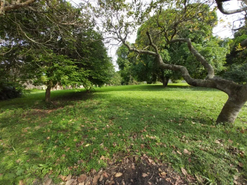 Terreno, 5000 m² - Foto 14