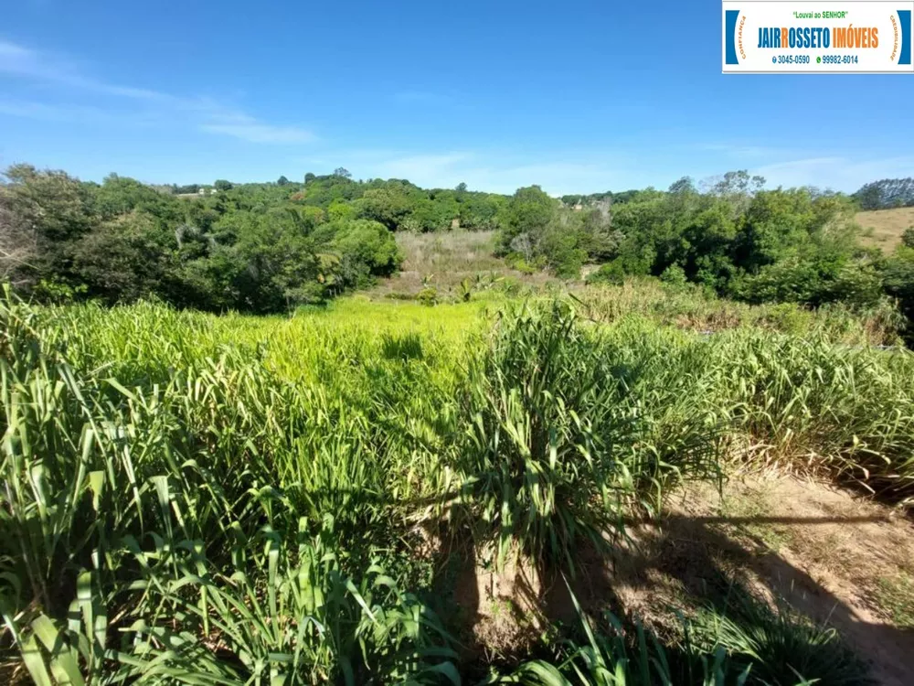 Sítio, 3 quartos, 7600 m² - Foto 9