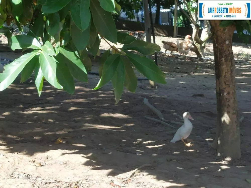 Sítio, 3 quartos, 7600 m² - Foto 11