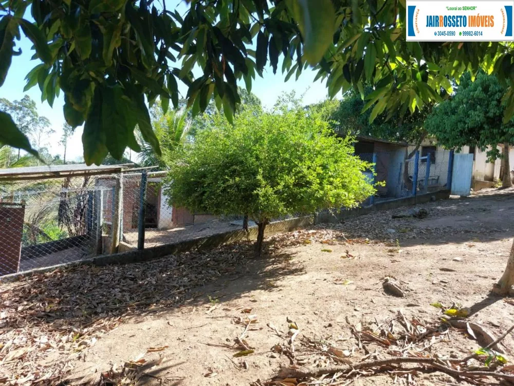 Sítio, 3 quartos, 7600 m² - Foto 10