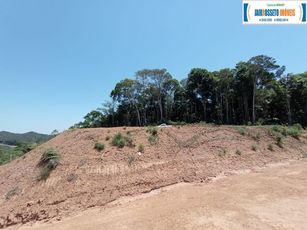 Terreno, 3 hectares - Foto 6
