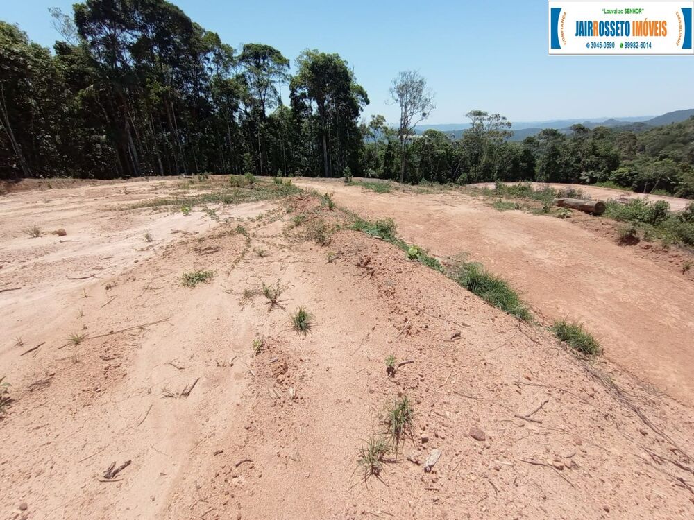 Terreno, 3 hectares - Foto 4