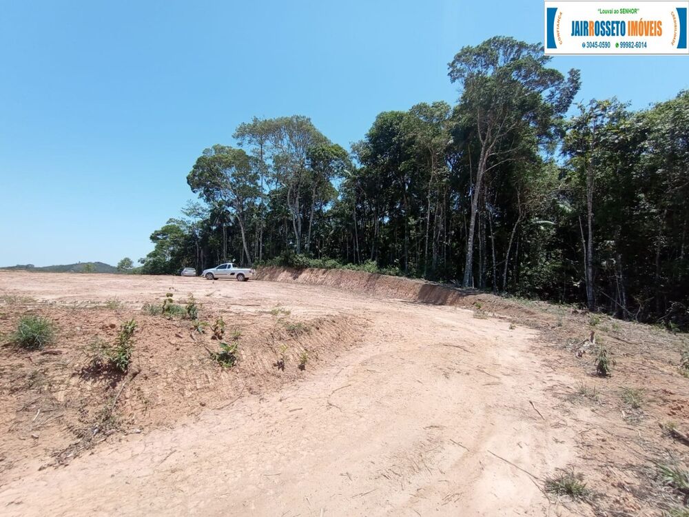 Terreno, 3 hectares - Foto 7