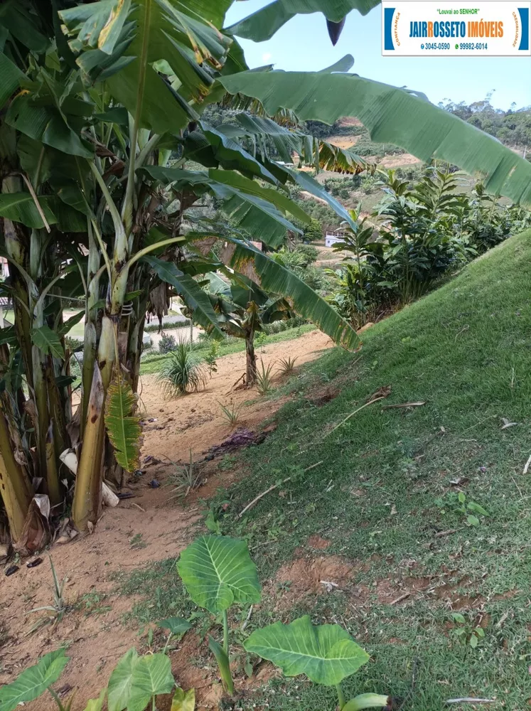 Sítio, 2 quartos, 1494 m² - Foto 5