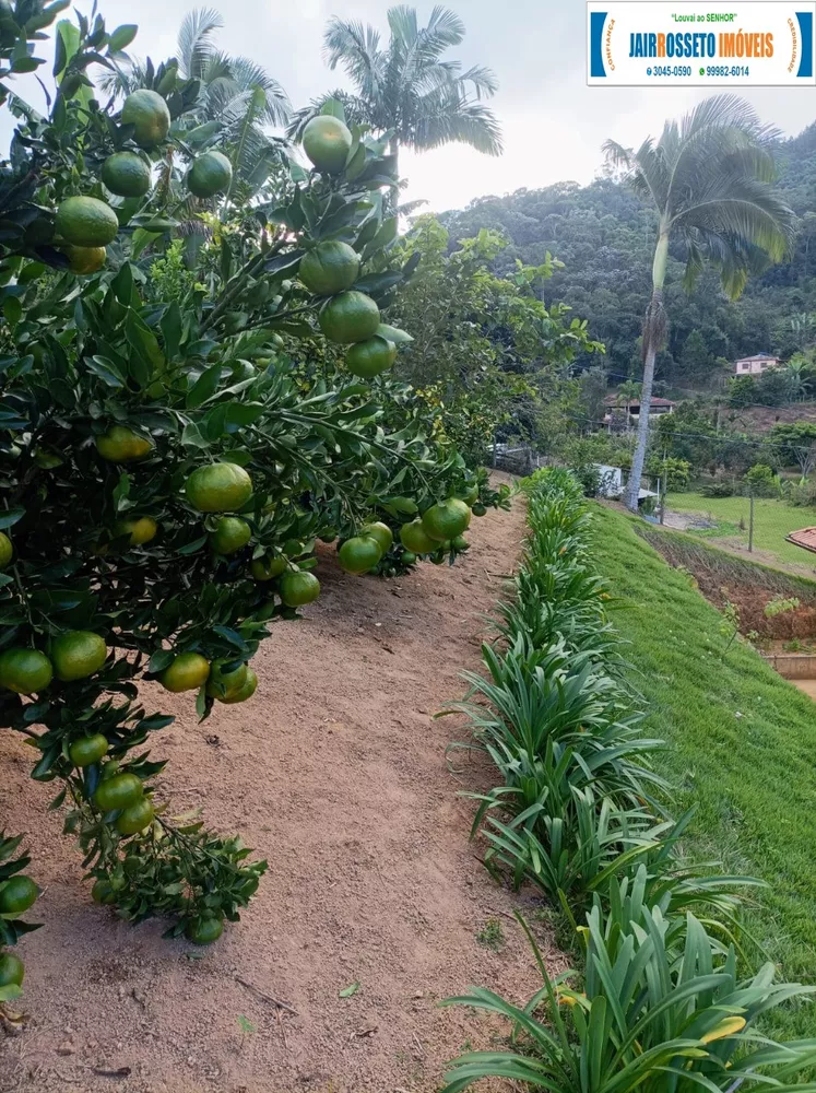 Sítio, 2 quartos, 1494 m² - Foto 7