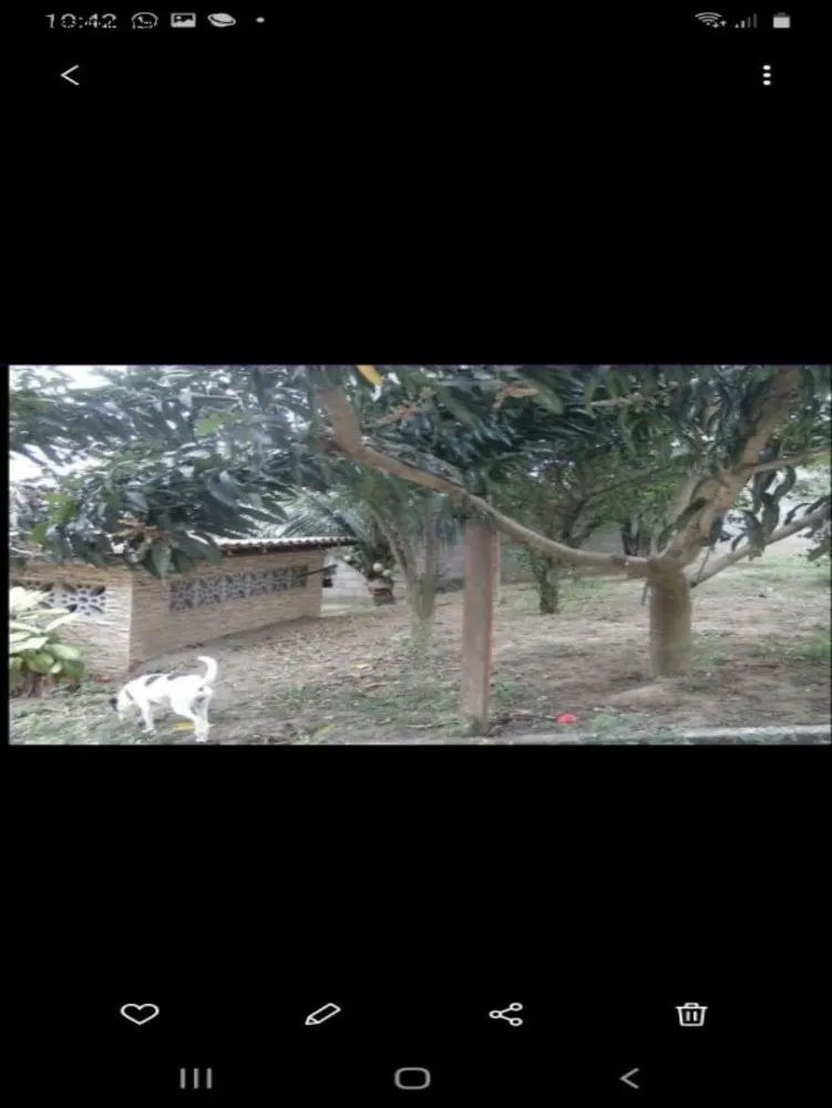 Casa, 6 quartos, 400 m² - Foto 23