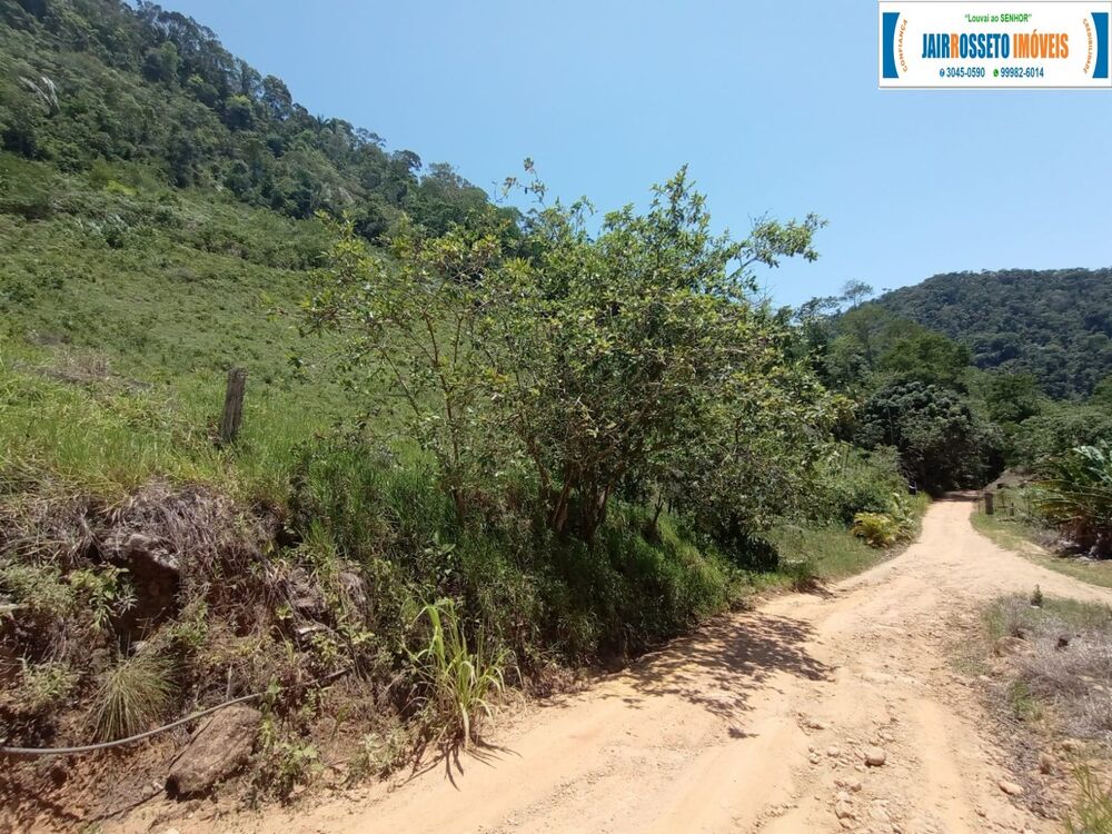 Sítio, 1 quarto, 20000 m² - Foto 4