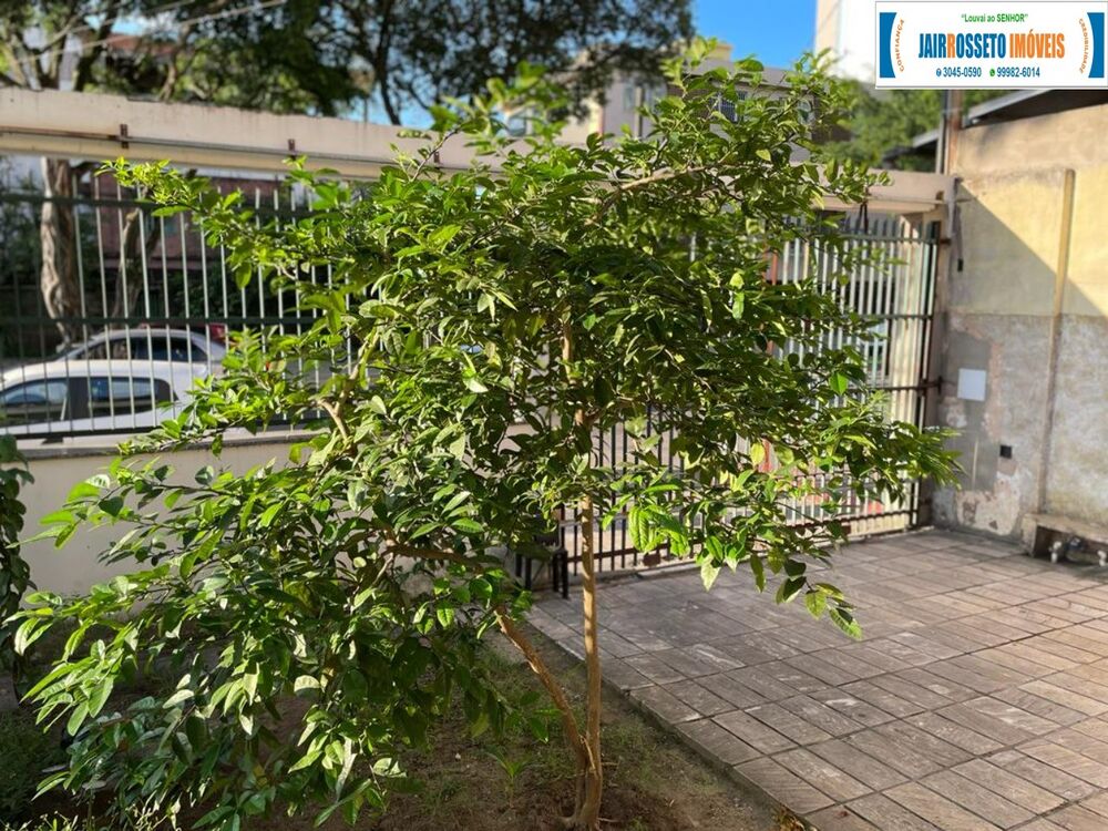 Casa, 4 quartos, 410 m² - Foto 19