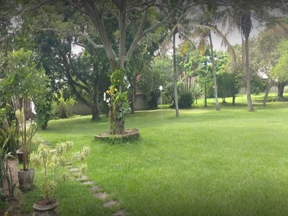 Terreno, 5000 m² - Foto 3