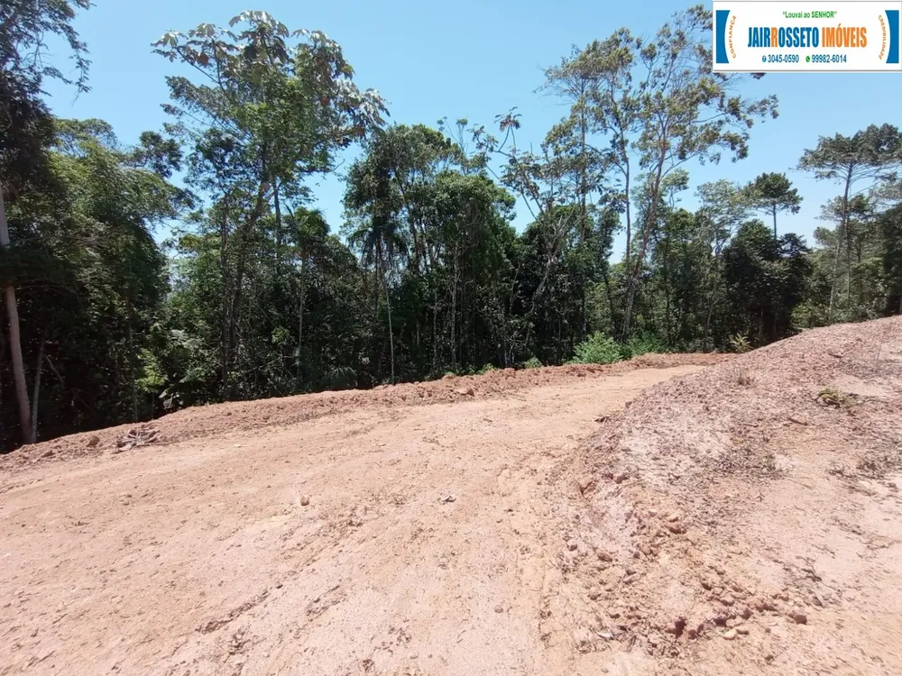 Terreno, 3 hectares - Foto 2