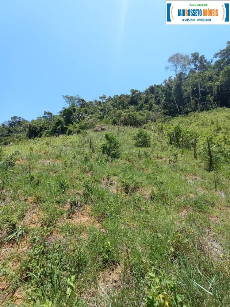 Terreno, 2 hectares - Foto 7