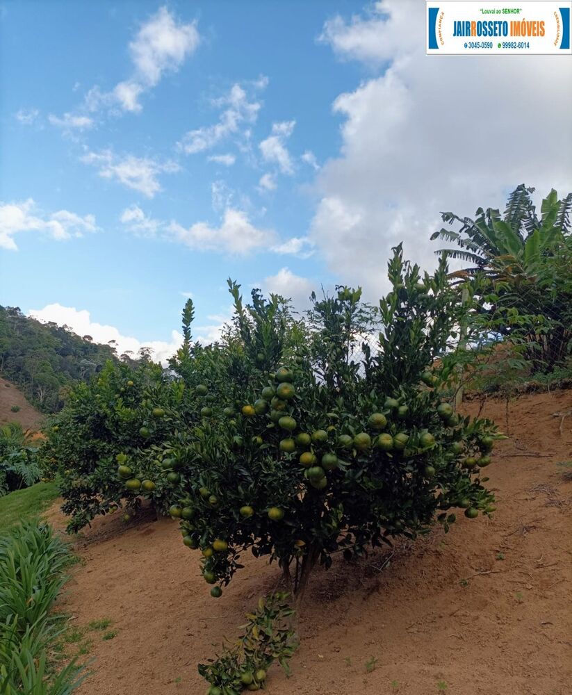 Chácara, 2 quartos - Foto 2