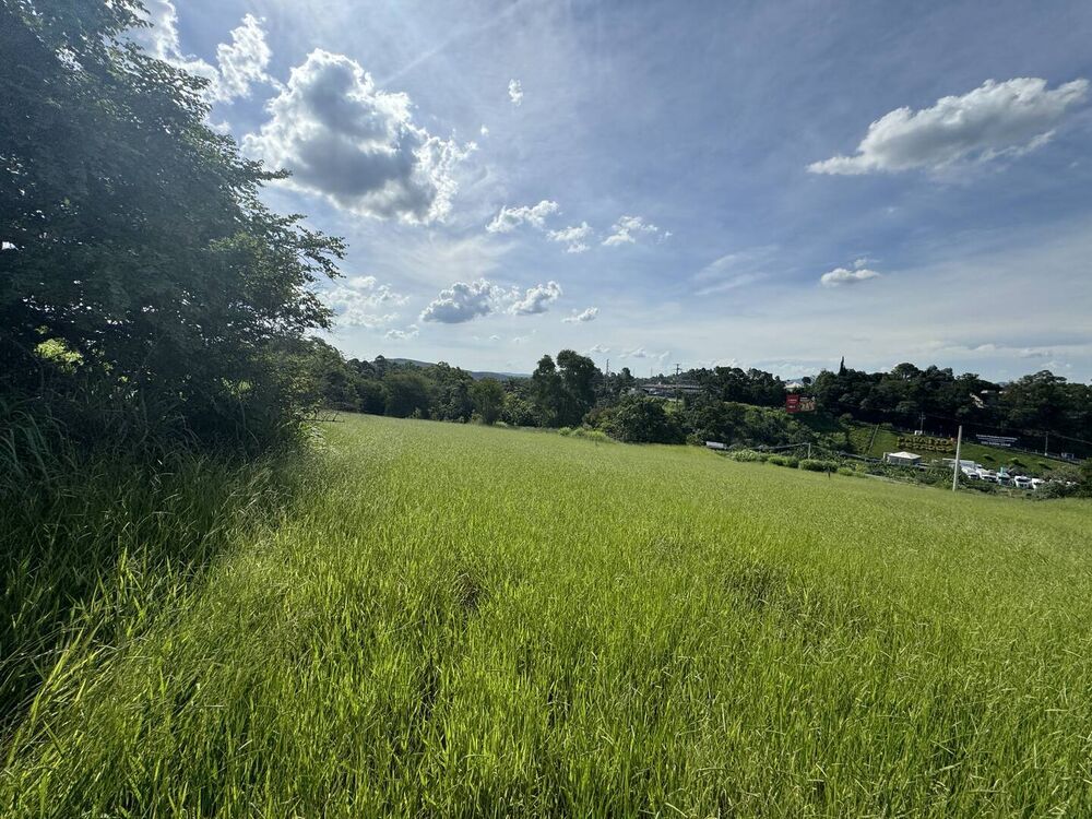 Terreno à venda, 39873m² - Foto 2