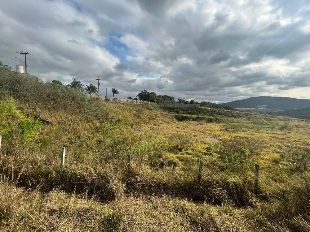 Terreno, 2 hectares - Foto 7