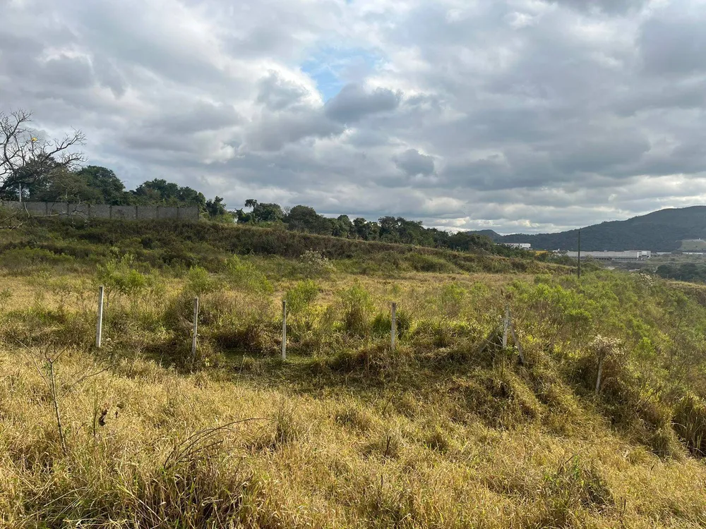 Terreno, 2 hectares - Foto 12