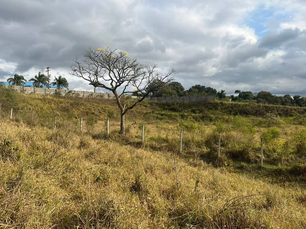 Terreno, 2 hectares - Foto 10