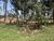 Terreno, 4 hectares - Foto 2
