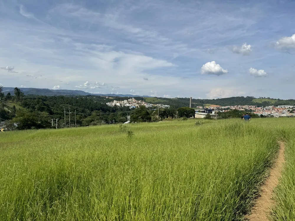 Terreno, 4 hectares - Foto 3