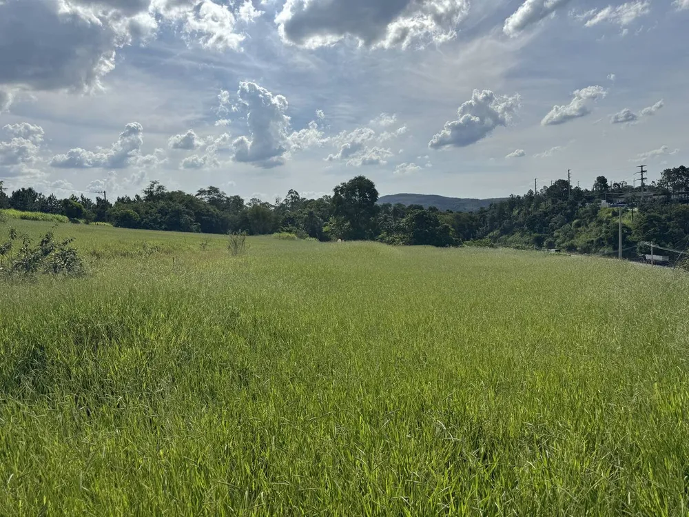 Terreno, 4 hectares - Foto 8