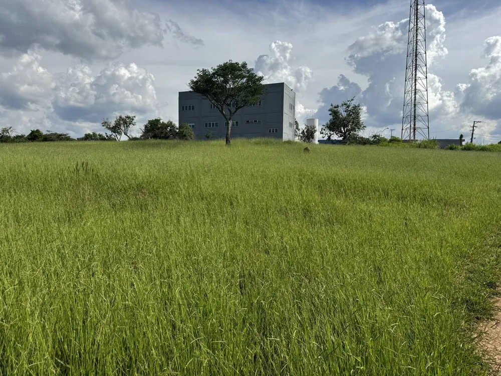 Terreno, 4 hectares - Foto 7