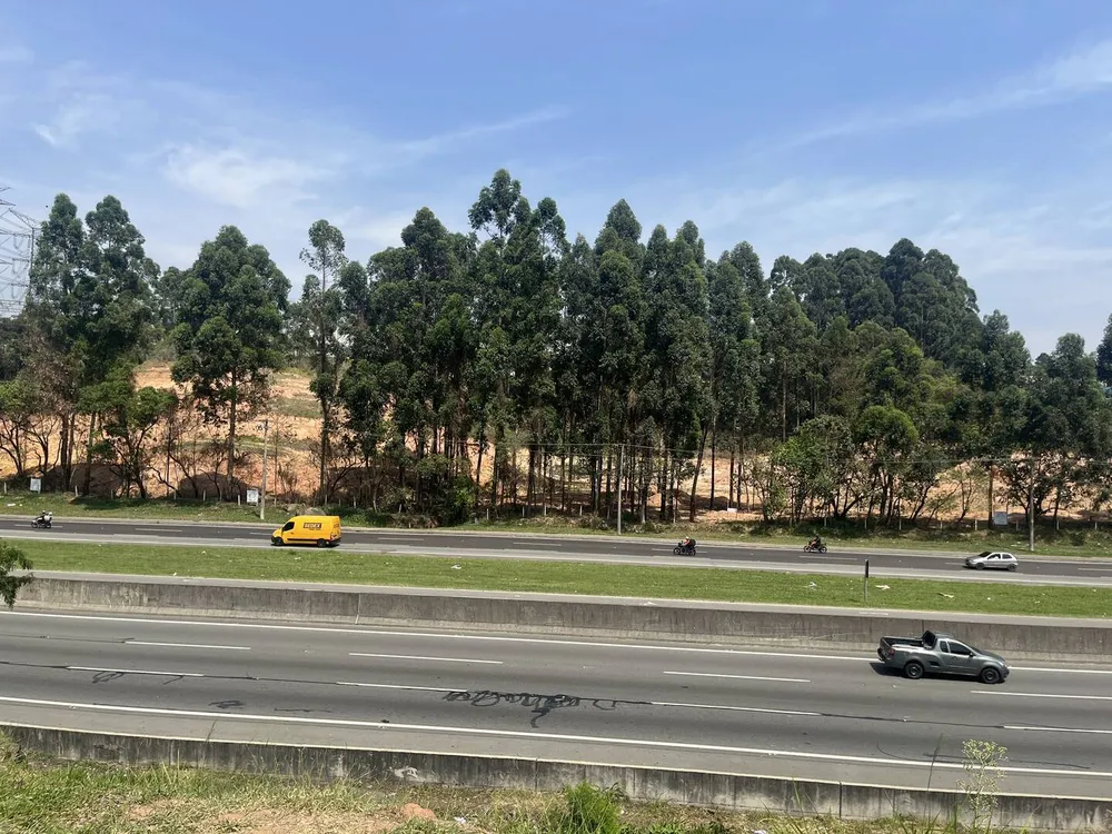 Terreno, 4 hectares - Foto 9