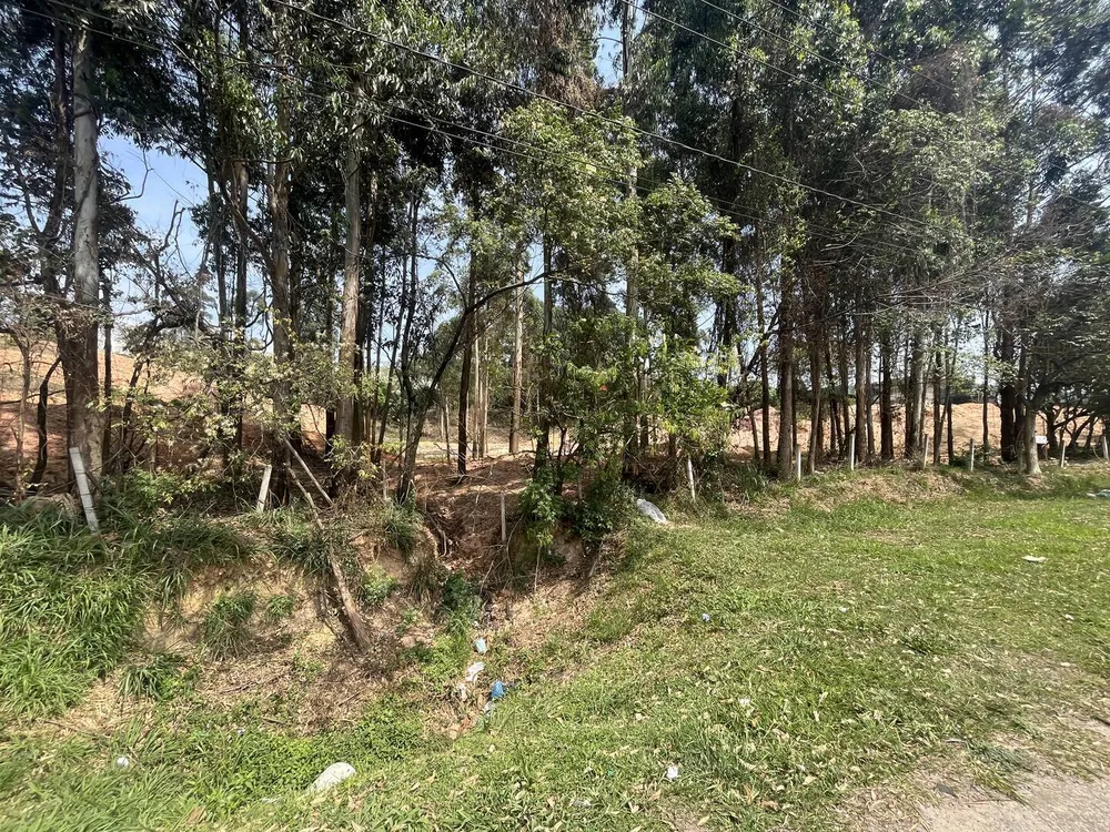 Terreno, 4 hectares - Foto 7