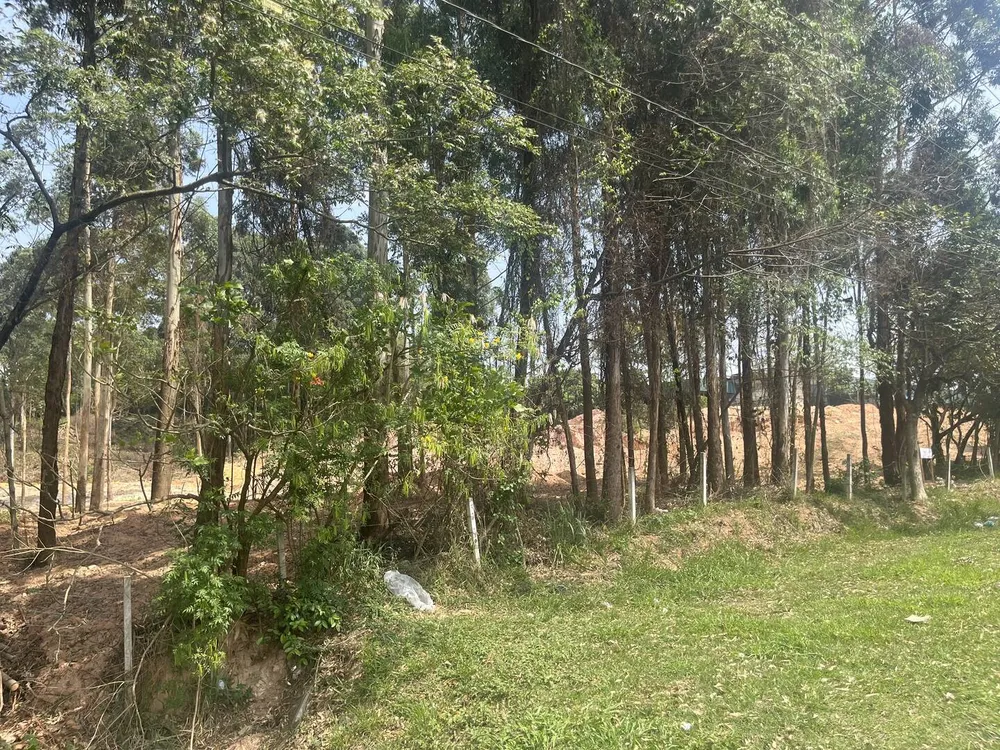 Terreno, 4 hectares - Foto 4