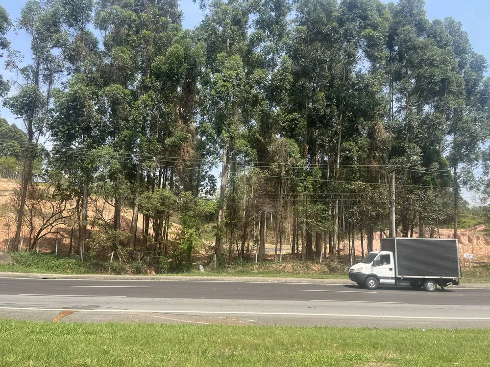 Terreno, 4 hectares - Foto 2