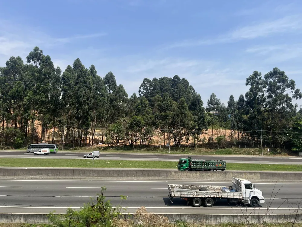 Terreno, 4 hectares - Foto 12