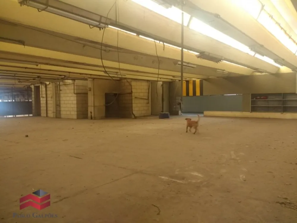 Depósito-Galpão, 10507 m² - Foto 5