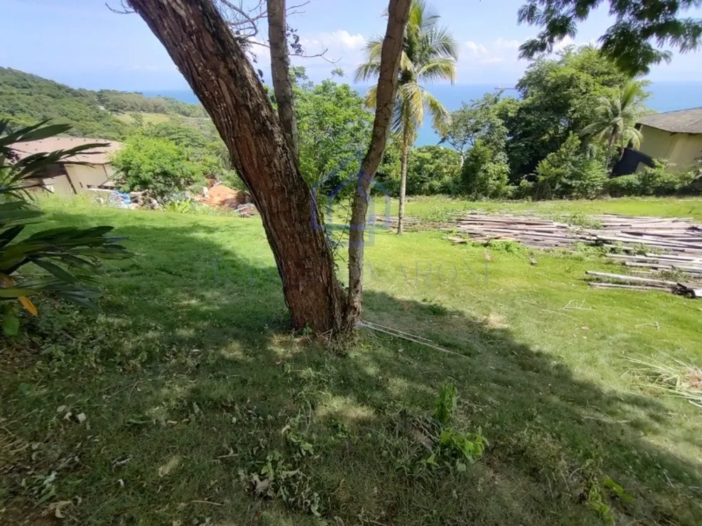 Terreno, 2296 m² - Foto 3
