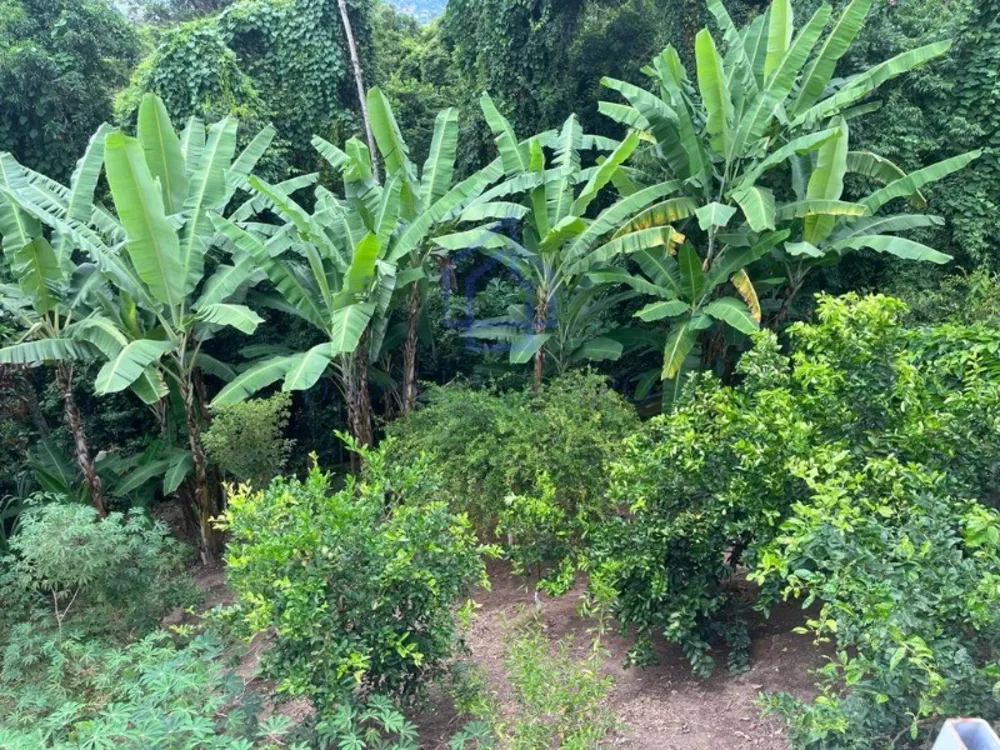 Casa, 5 quartos, 211 m² - Foto 16