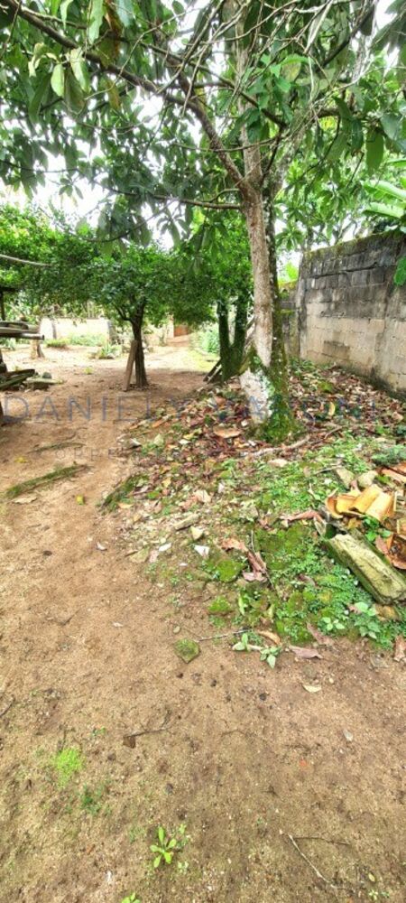 Casa, 5 quartos, 365 m² - Foto 3