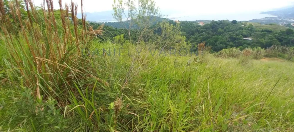 Terreno, 1 hectares - Foto 7
