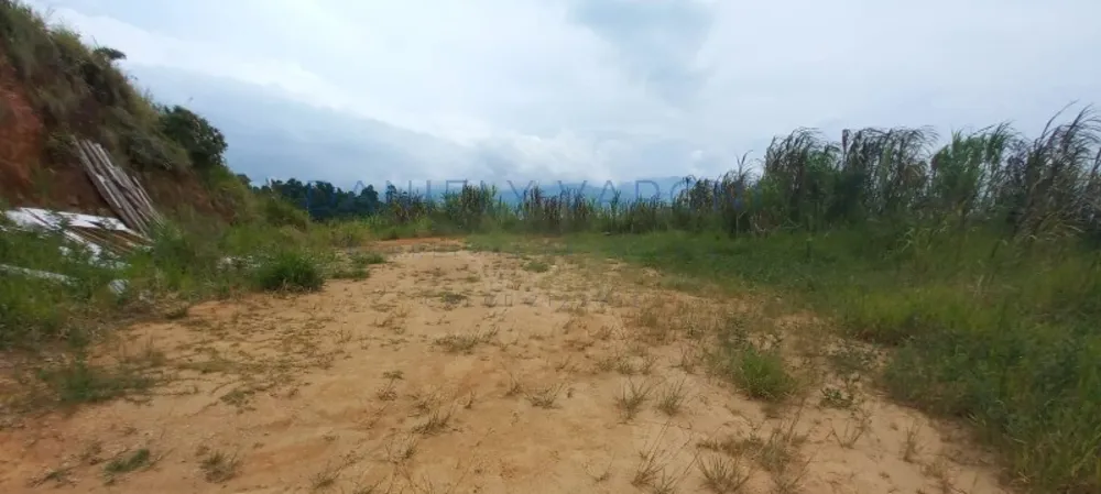 Terreno, 1 hectares - Foto 3