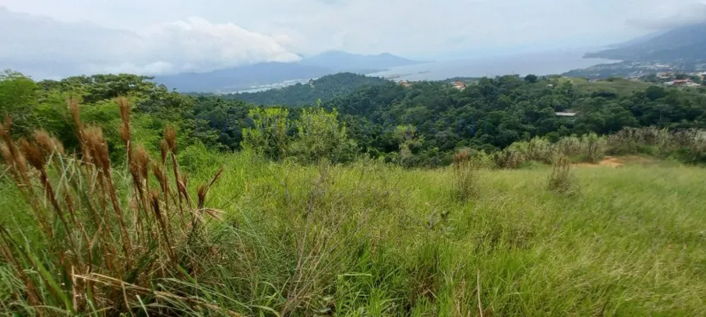 Terreno, 1 hectares - Foto 1
