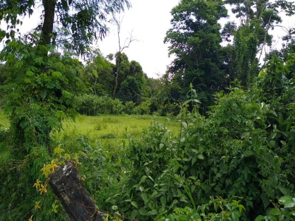Terreno, 1232 m² - Foto 1