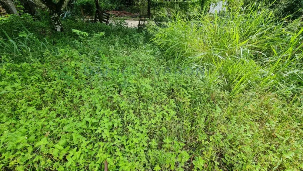 Terreno, 600 m² - Foto 11