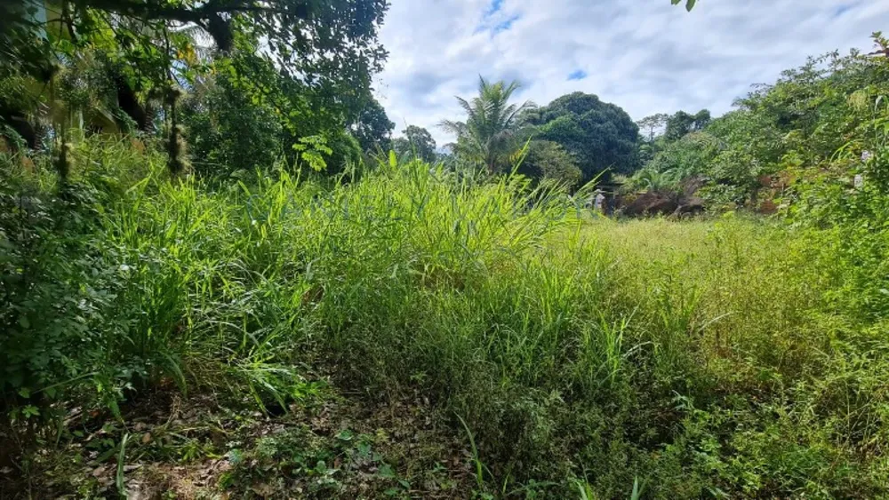 Terreno, 600 m² - Foto 5