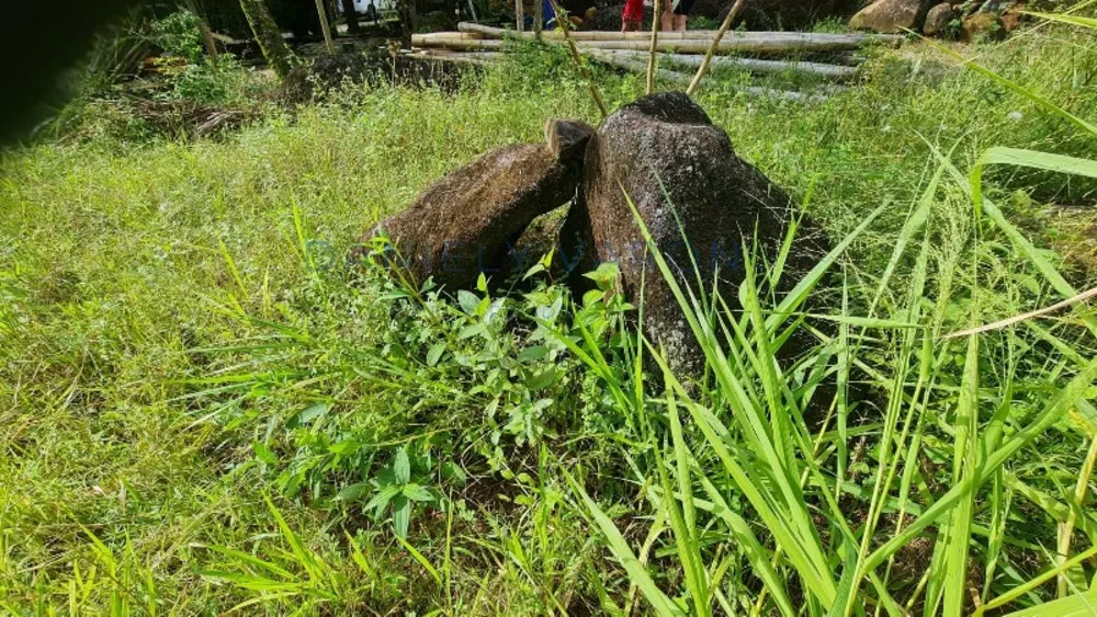 Terreno, 600 m² - Foto 12