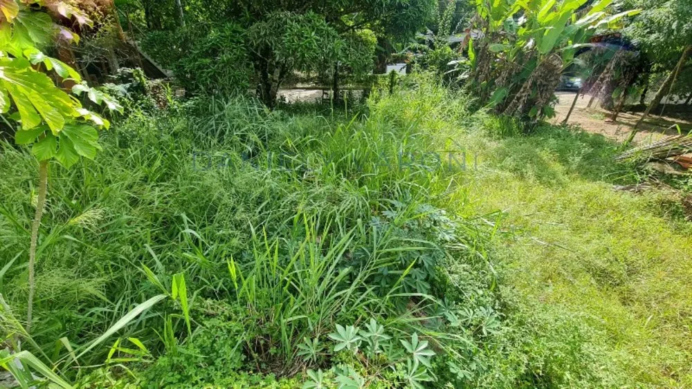 Terreno, 600 m² - Foto 3