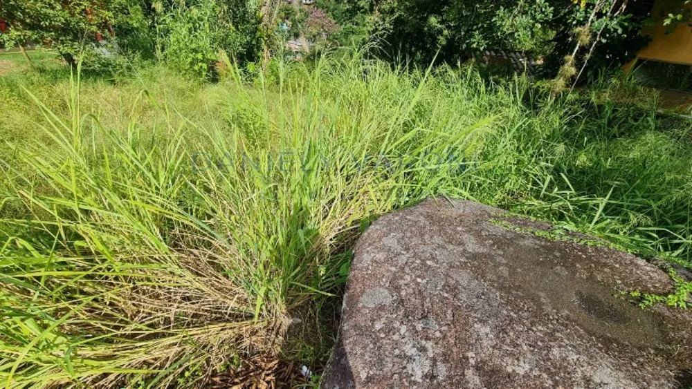 Terreno, 600 m² - Foto 7